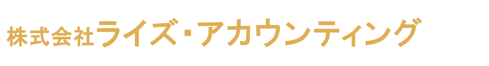 株式会社ライズ・アカウンティング